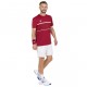 Camiseta Tecnifibre Team Gra