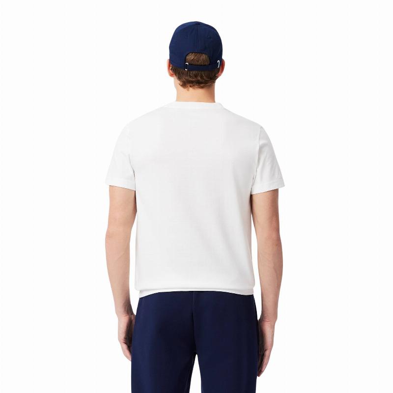 Pack Lacoste Novak Djokovic White T-Shirt and Navy Cap