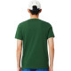 Pack Lacoste Novak Djokovic T-Shirt Green and White Cap