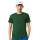 Pack Lacoste Novak Djokovic T-Shirt Green and White Cap