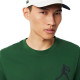 Pack Lacoste Novak Djokovic T-Shirt Green and White Cap
